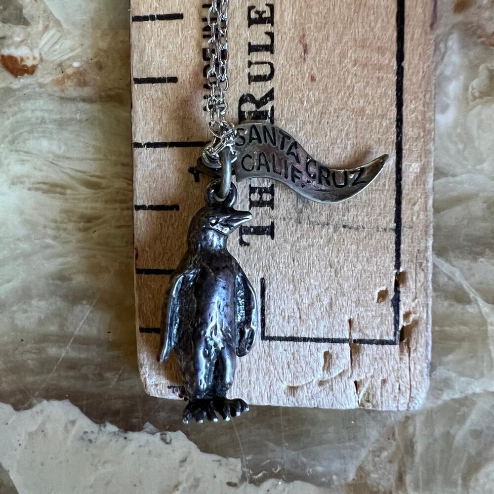 Penguin Silver Pendant and Chain: Santa Cruz